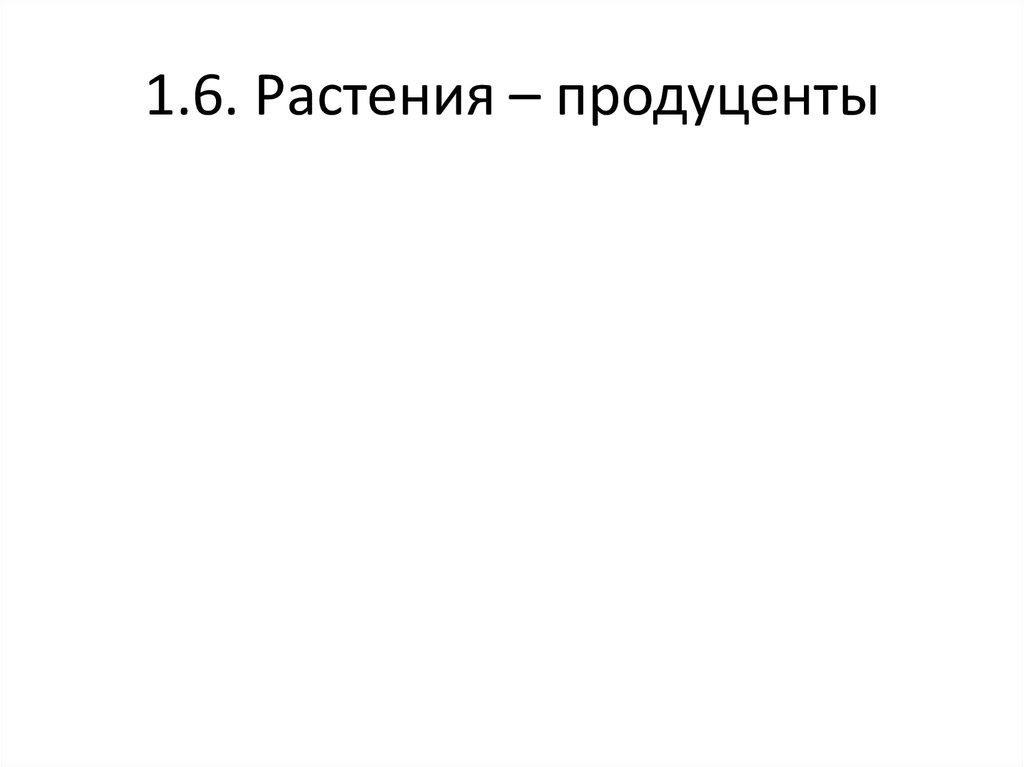 1.6. Растения – продуценты