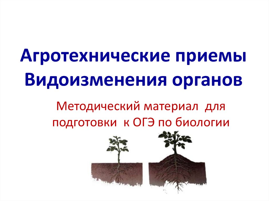 Подготовка к огэ по биологии презентация по блокам