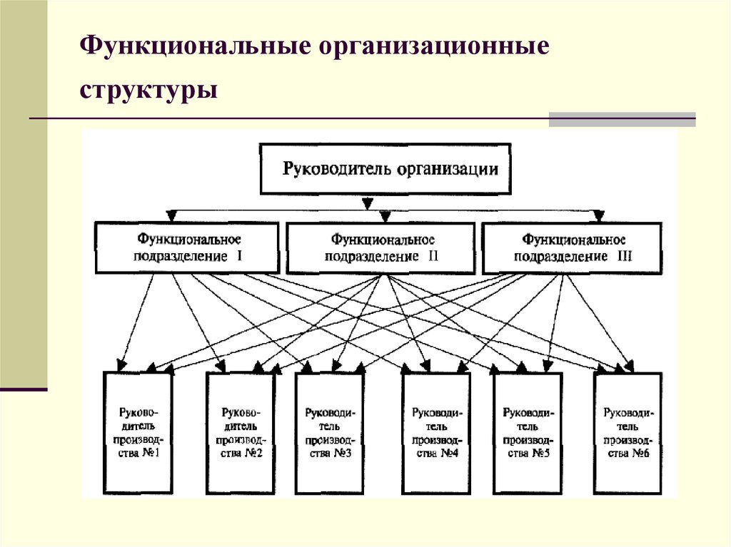 Функциональная организационная структура. Функциональная организационная структура управления схема.