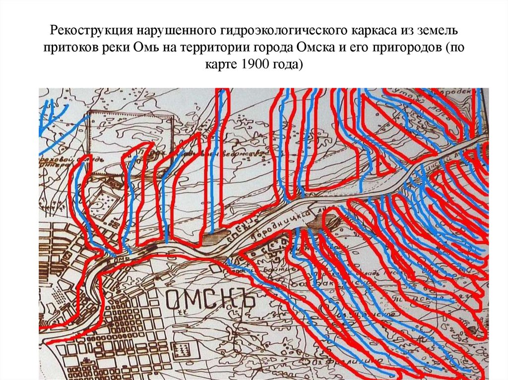 Карта рельефа г омск