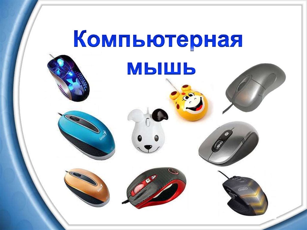 Компьютерная мышь проект