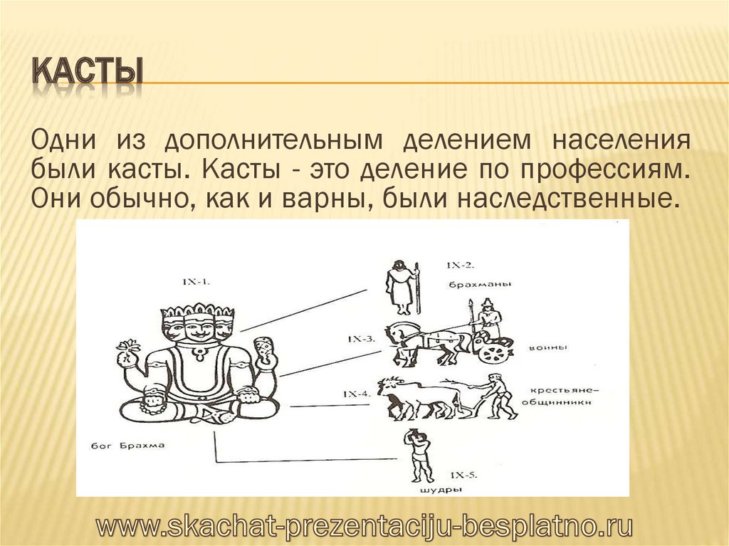 Образцом кастового деления является