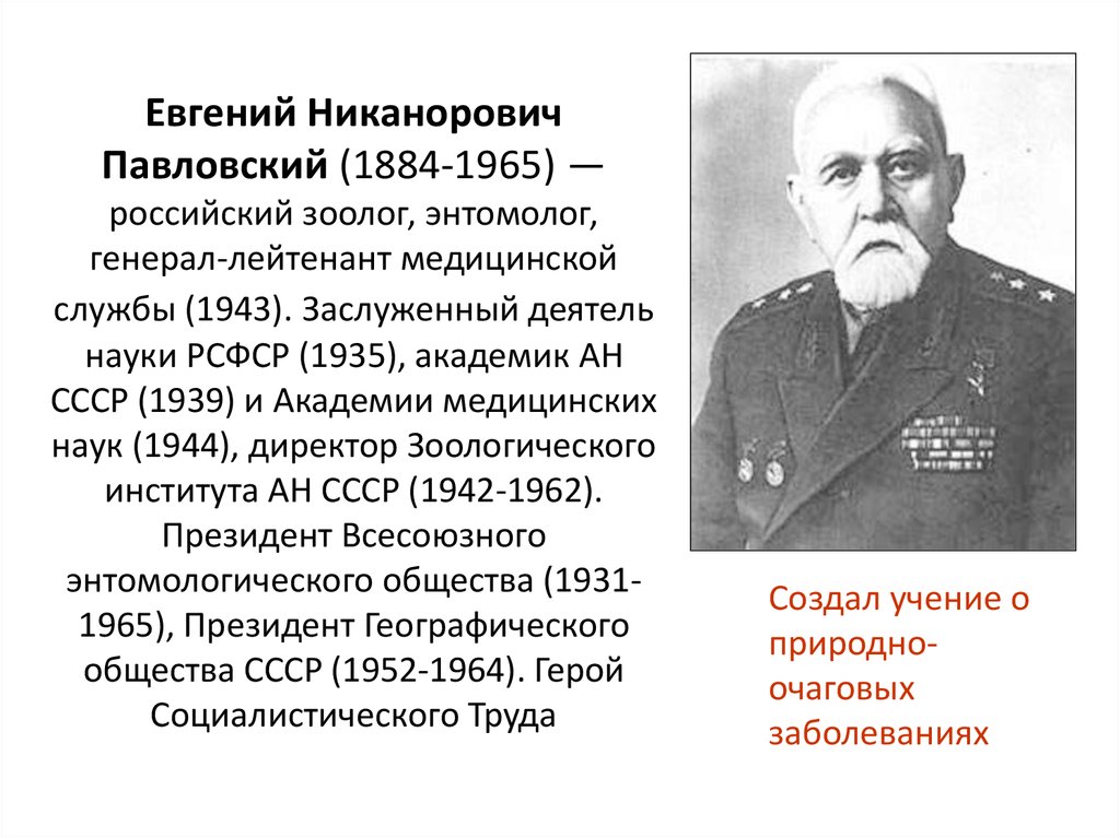 Евгений Никанорович Павловский (1884-1965) — российский зоолог, энтомолог, генерал-лейтенант медицинской службы (1943).