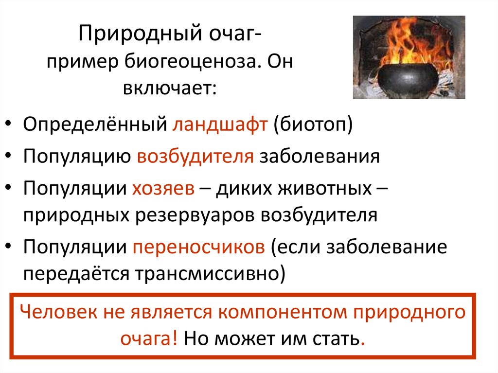 Единственными очагами. Природный очаг пример. Природный очаг это. Компоненты природного очага болезни. Понятие о природном очаге.