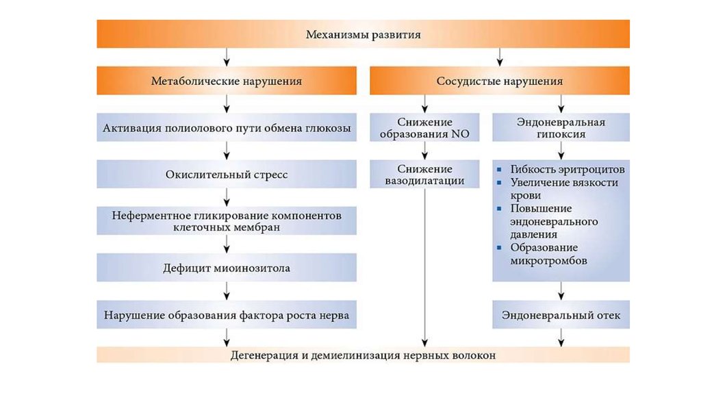 Мионизитол. Диабетическая полинейропатия патогенез. Патогенез полинейропатии при сахарном диабете. Диабетическая полинейропатия механизм развития. Полинейропатия при сахарном диабете патогенез.