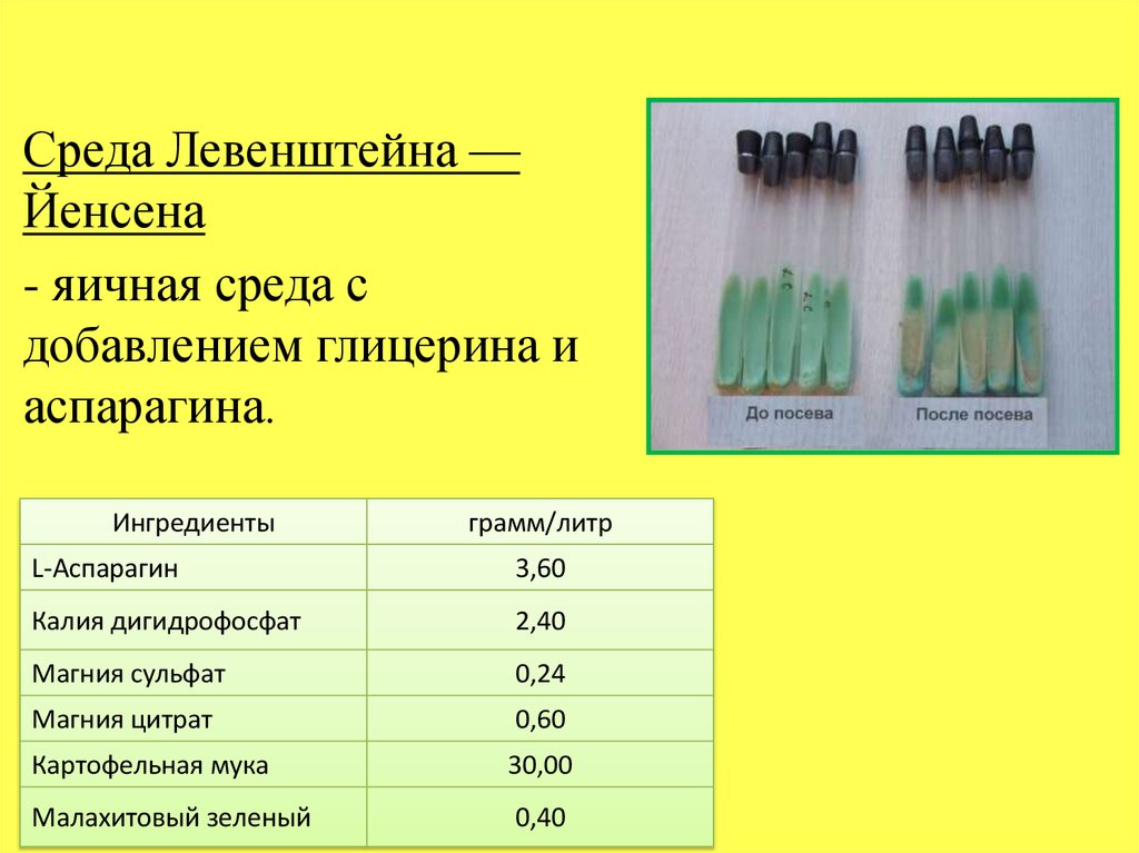 Оценка каких свойств микроорганизмов показана на рисунке