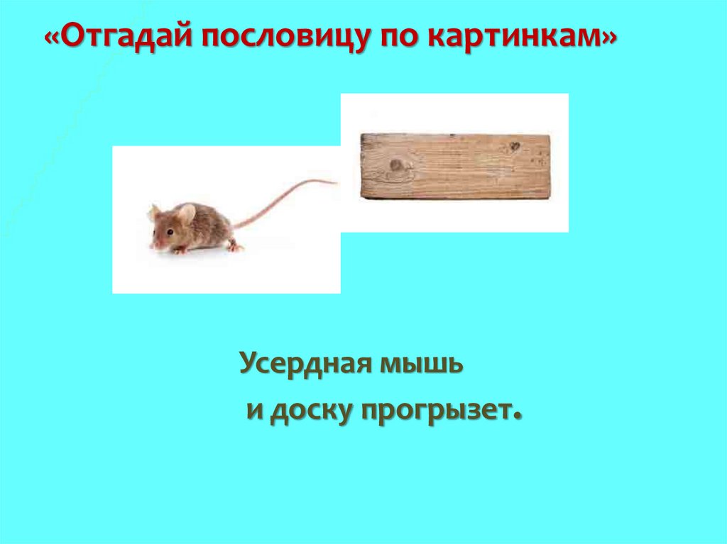 Предложение с словом мышь