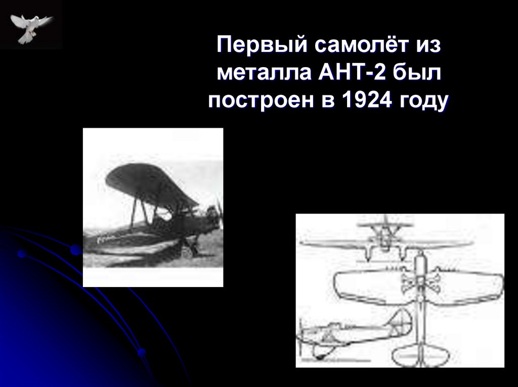 Первый самолёт из металла АНТ-2 был построен в 1924 году