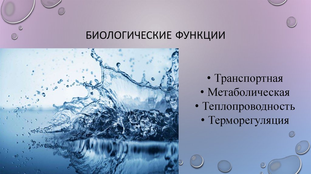 Биологические функции