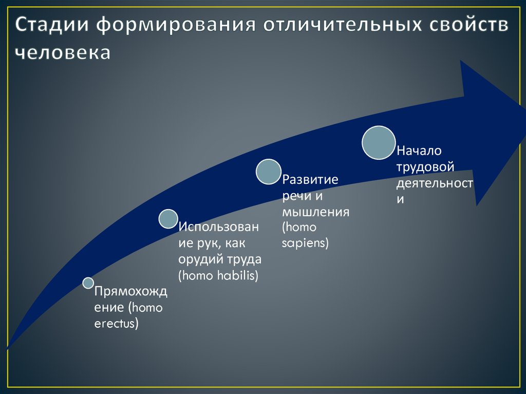 Укажите этапы развития