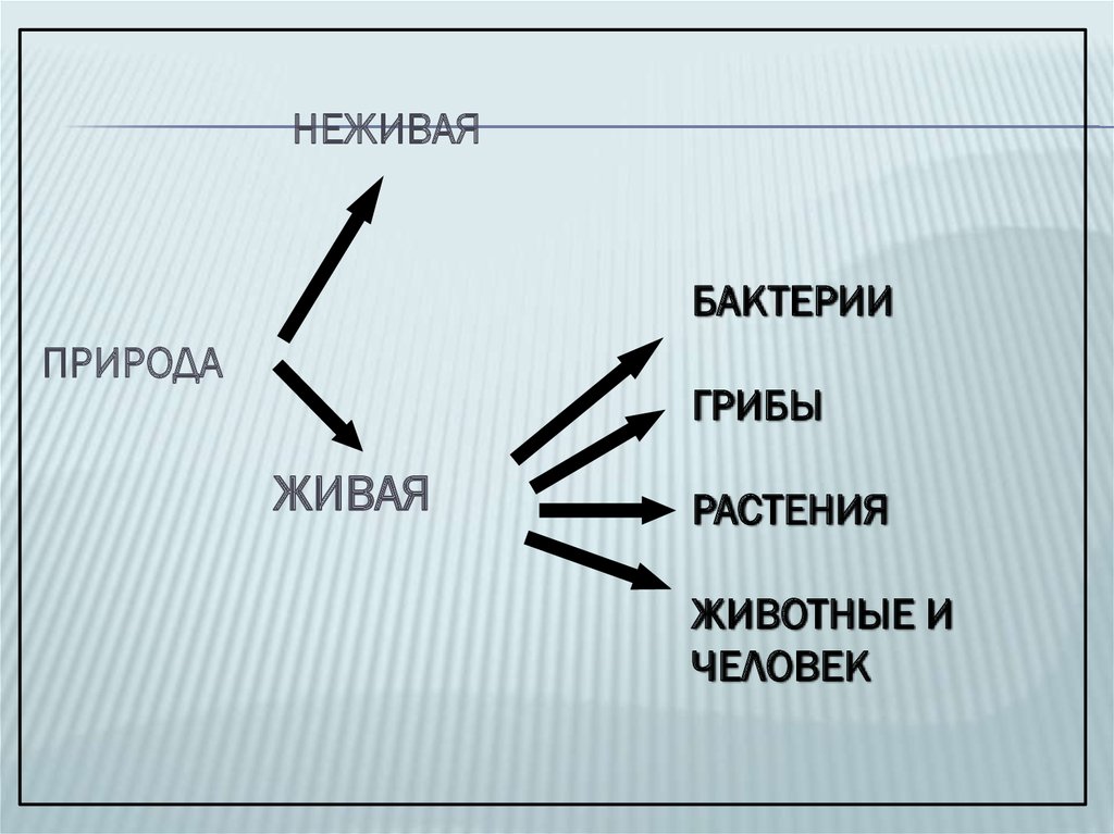 Скажи какие бывают