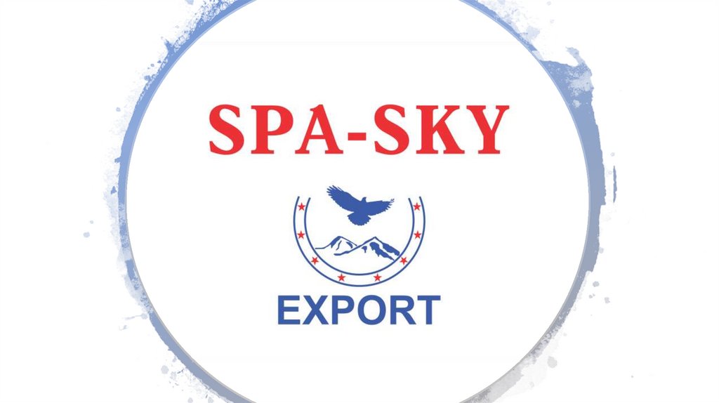 Тоо sky. Спа Скай. Казахстан завод Spa Sky. Минеральная вода Spa-Sky. Телекомпания Скай продакшн.