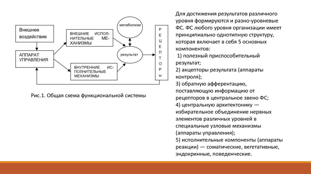 Схема фус восприятия боли