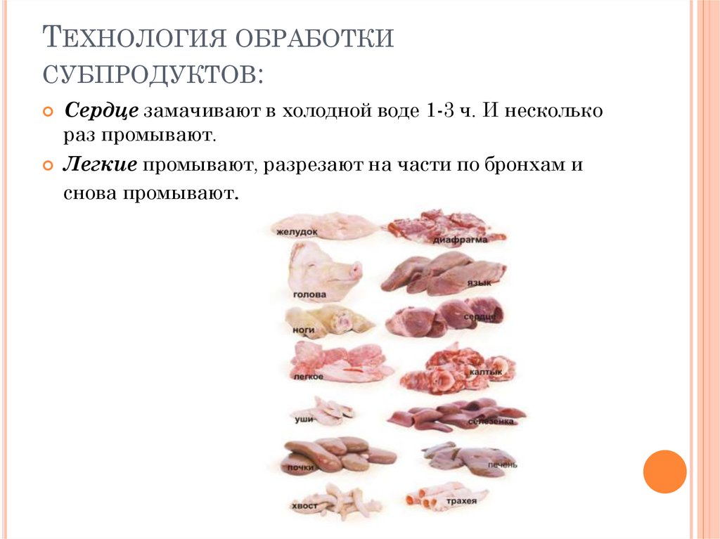 Печень для собак варить. Схема обработки субпродуктов. Субпродукты говяжьи классификация. Обработка субпродуктов из мяса. Полуфабрикаты из мясных субпродуктов.