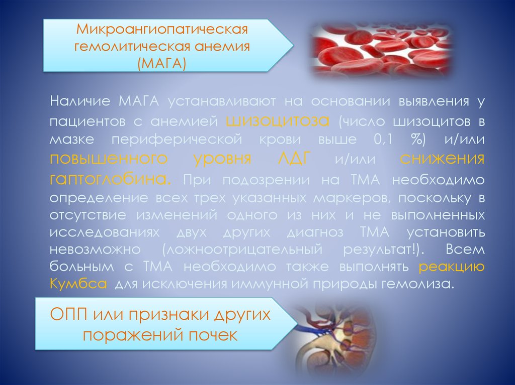 Гемолитико уремический синдром по утвержденным клиническим рекомендациям