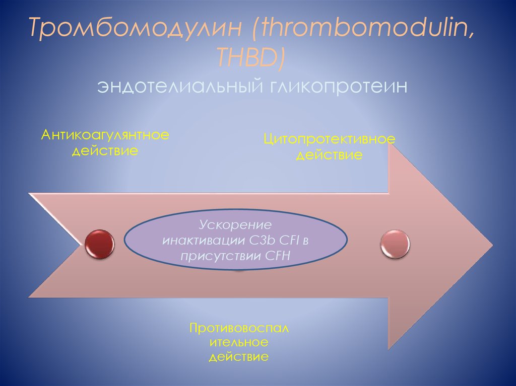 Гемолитико уремический синдром презентация