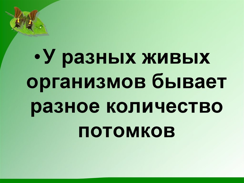 Самые необычные места в мире: 10 удивительных чудес природы