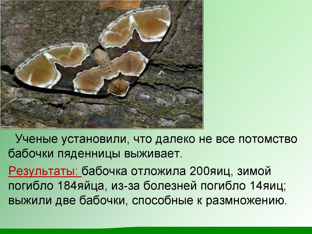 ТОП-10 самых необычных мест мира, словно с другой планеты