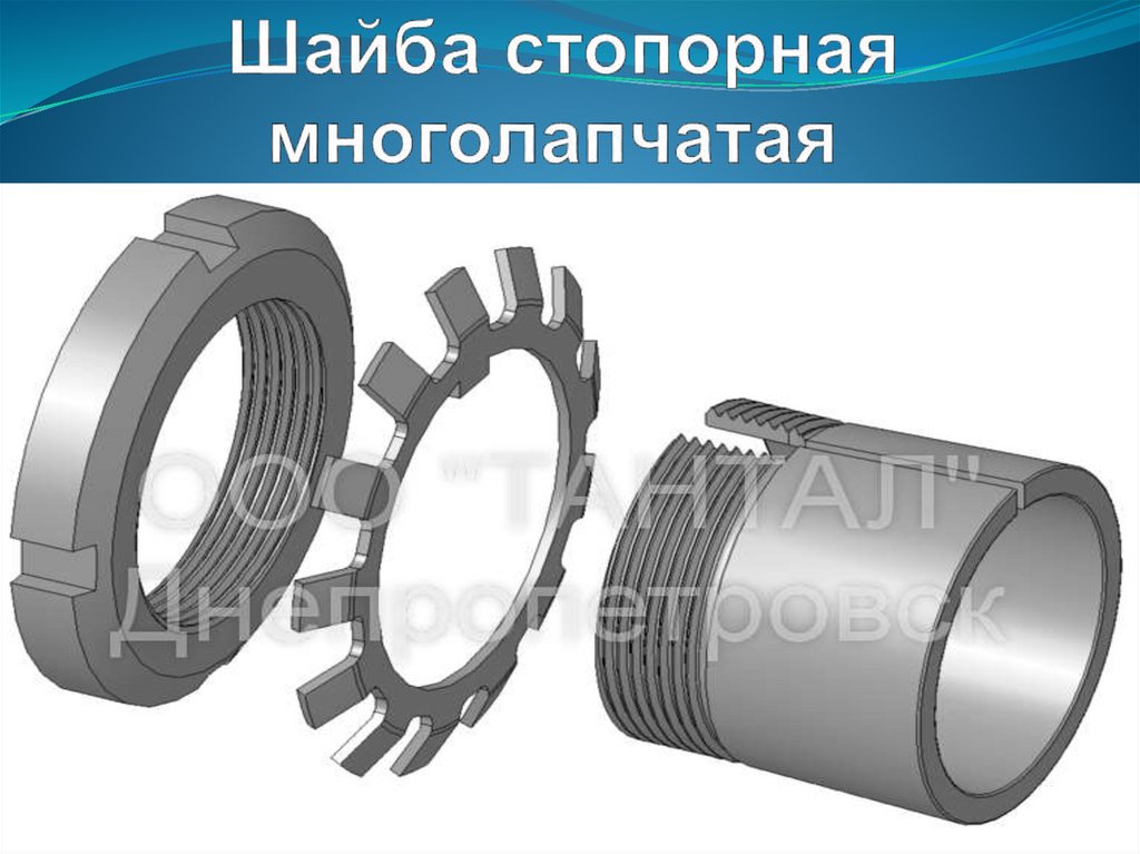 Многолапчатая стопорная шайба чертеж