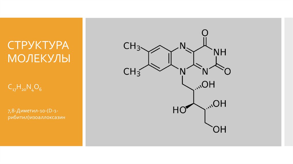 СТРУКТУРА МОЛЕКУЛЫ
