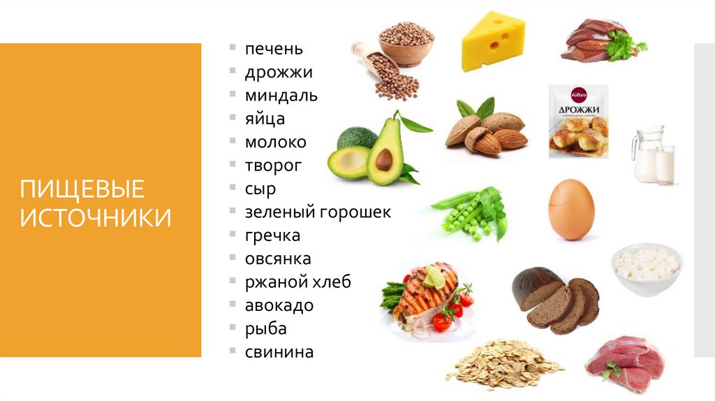 ПИЩЕВЫЕ ИСТОЧНИКИ