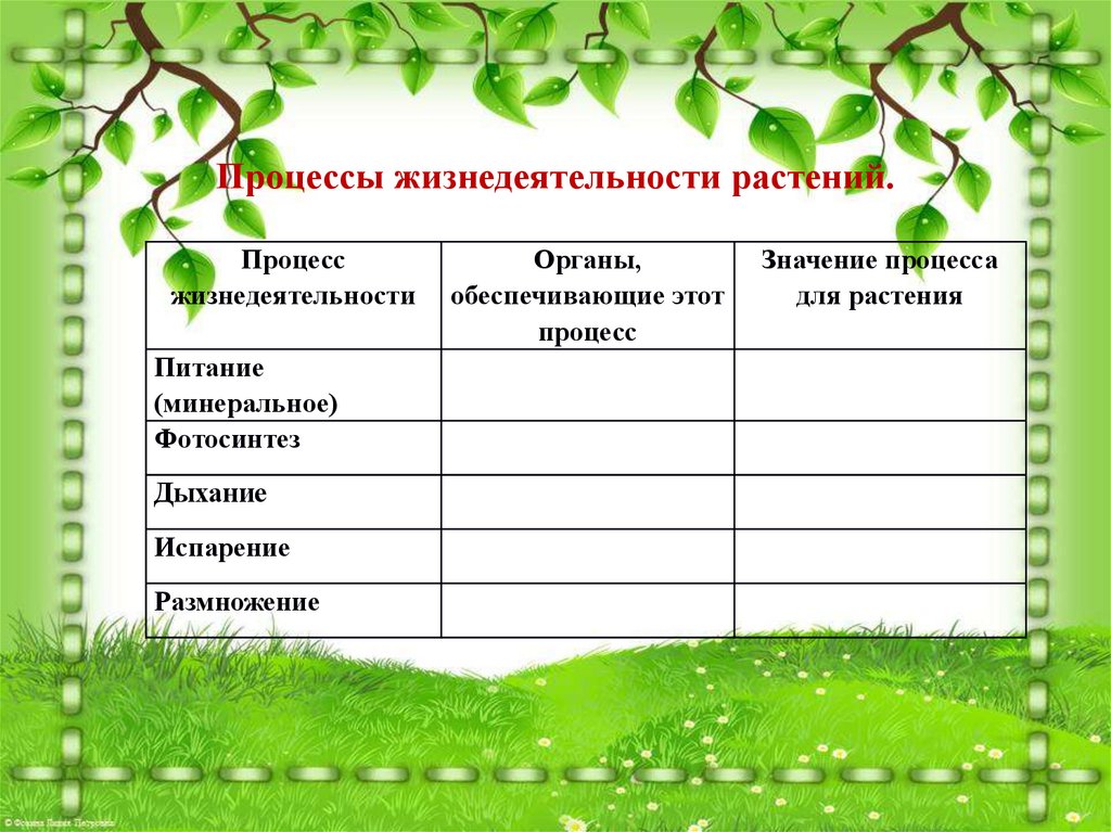 Процессы в биологии. Процессы жизнедеятельности растений биология 5 класс таблица. Процессы жизнедеятельности растений 6 класс таблица биология. Процессы жизнедеятельности растений 6 класс биология. Процессы жизнедеятельности растительных организмов схема.