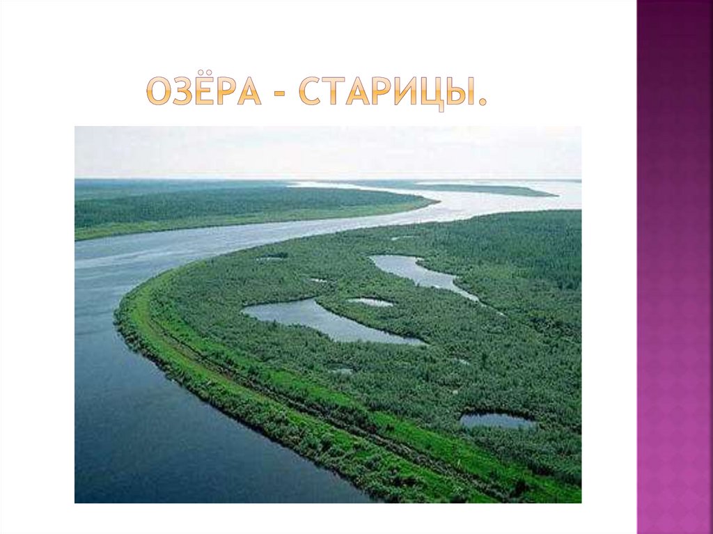 Что такое старица реки. Озера старицы России. Речные озера (старицы). Озеро Старица. Происхождение озера старицы.