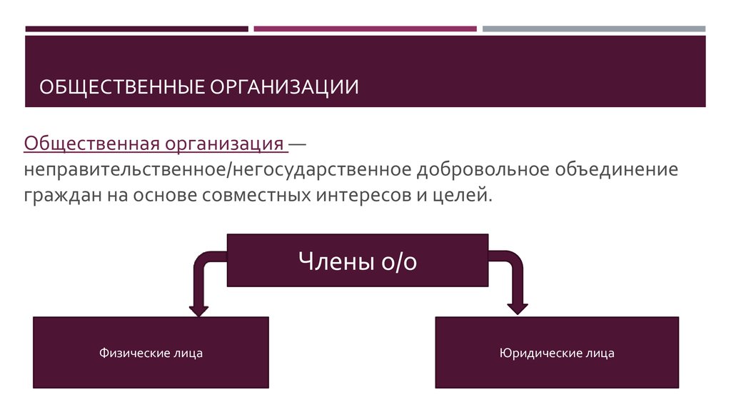 Организация добровольное объединение граждан. Общественные организации. Неправительственные общественные организации. Общественные организации презентация. Общественные неправительственные организации примеры.