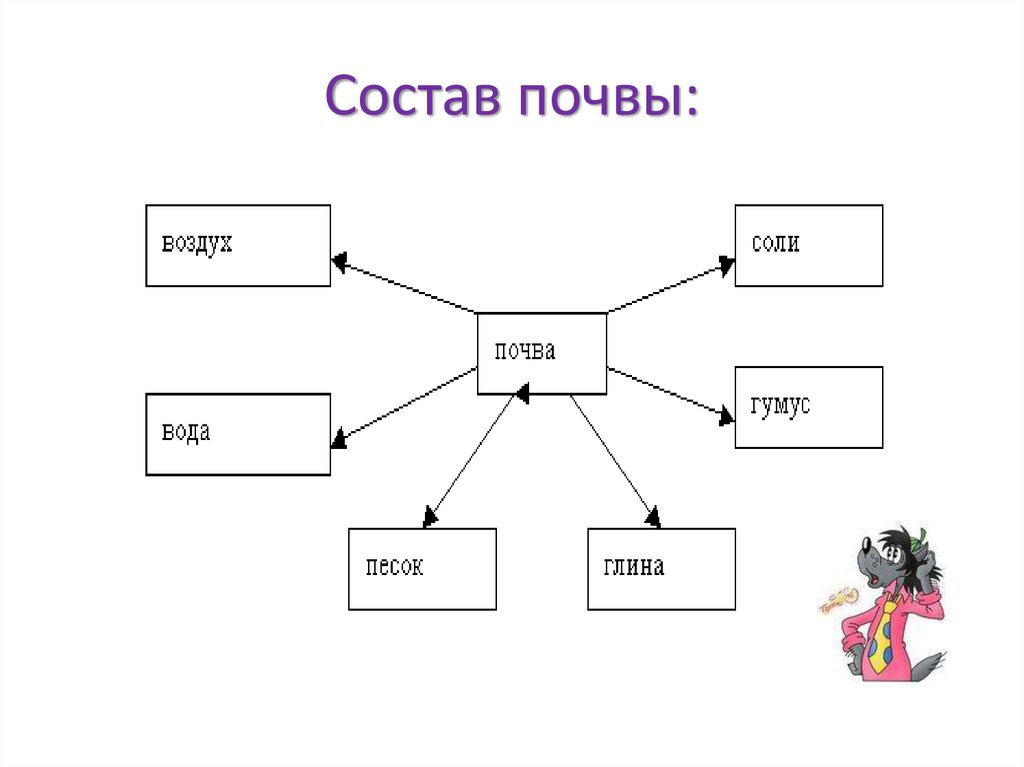 Состав почвы 3 класс окружающий мир схема