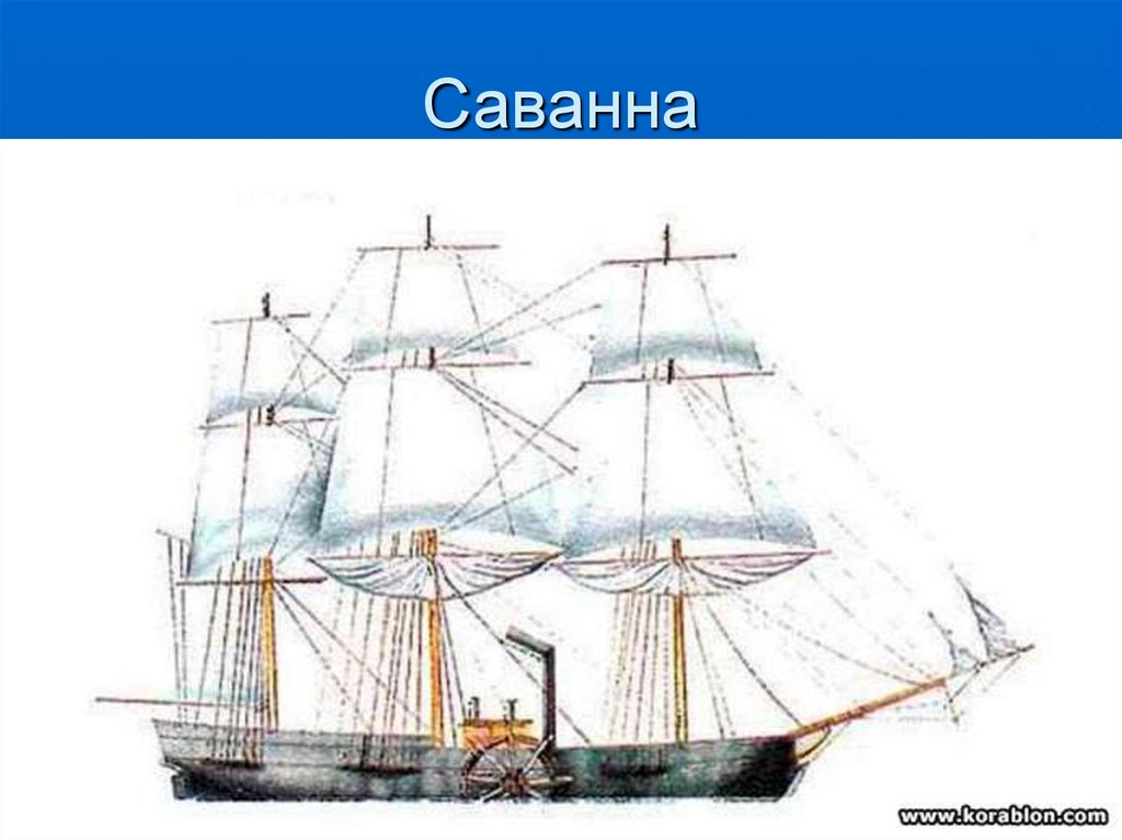 Саванна