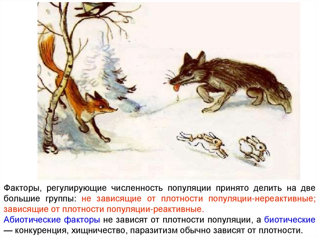 Какие отношения складываются между лисой и зайцем. Межвидовая конкуренция волк и лиса. Лиса и волк охотятся на зайца. Межвидовая конкуренция зайцы волки лисы. Межвидовая борьба заяц волк лиса.