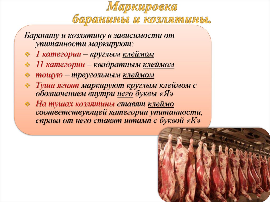 Мясо В Блоках Гост Доклад
