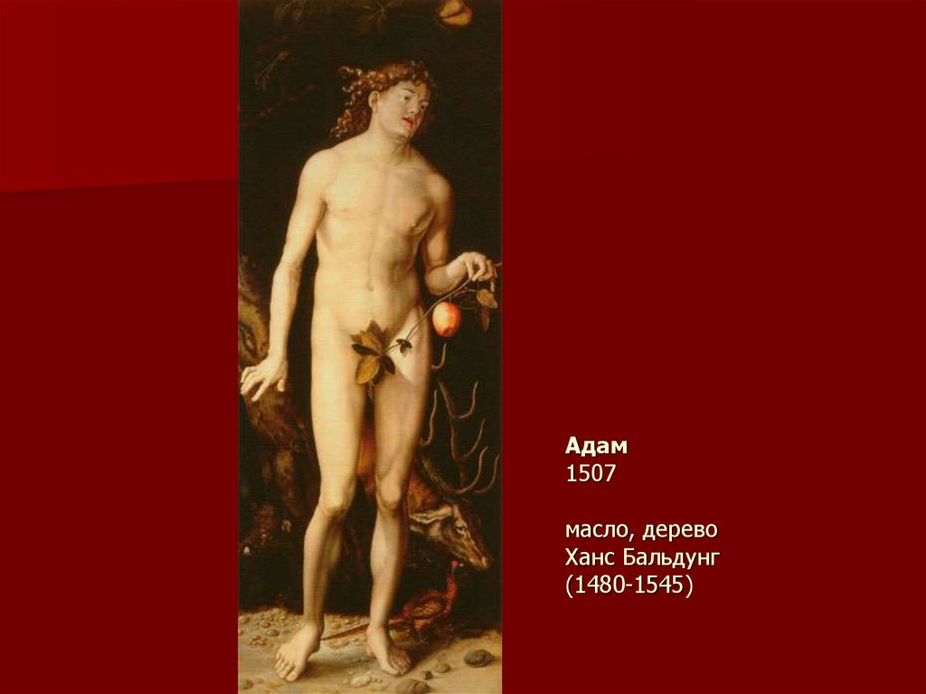 Адам 1507 масло, дерево Ханс Бальдунг (1480-1545)