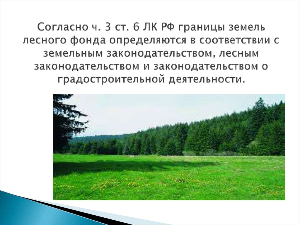 Субъекты лесного фонда. Границы земель лесного фонда. ФЗ земли лесного фонда. Лесное и земельное законодательство. Участок граничит с лесным фондом.