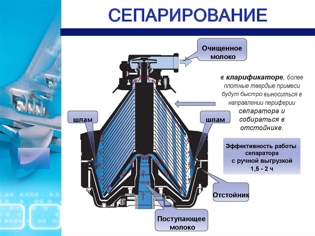 Оборудование строение. Молочный сепаратор принцип работы. Процесс сепарирования молока схема. Стадии процесса сепарирования молока. Схема разделения молока в сепараторе.