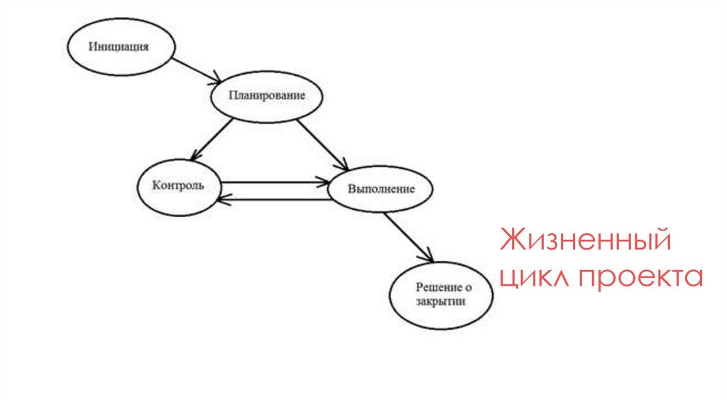 Окружающая среда и жизненный цикл проекта курсовая