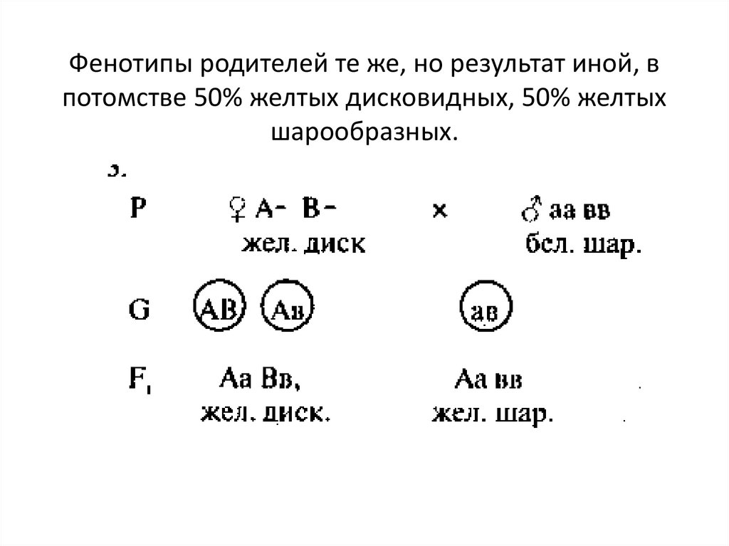 В потомстве нормальных