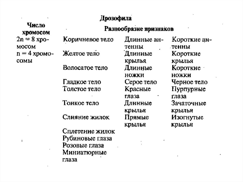 Сцепленные признаки у дрозофилы