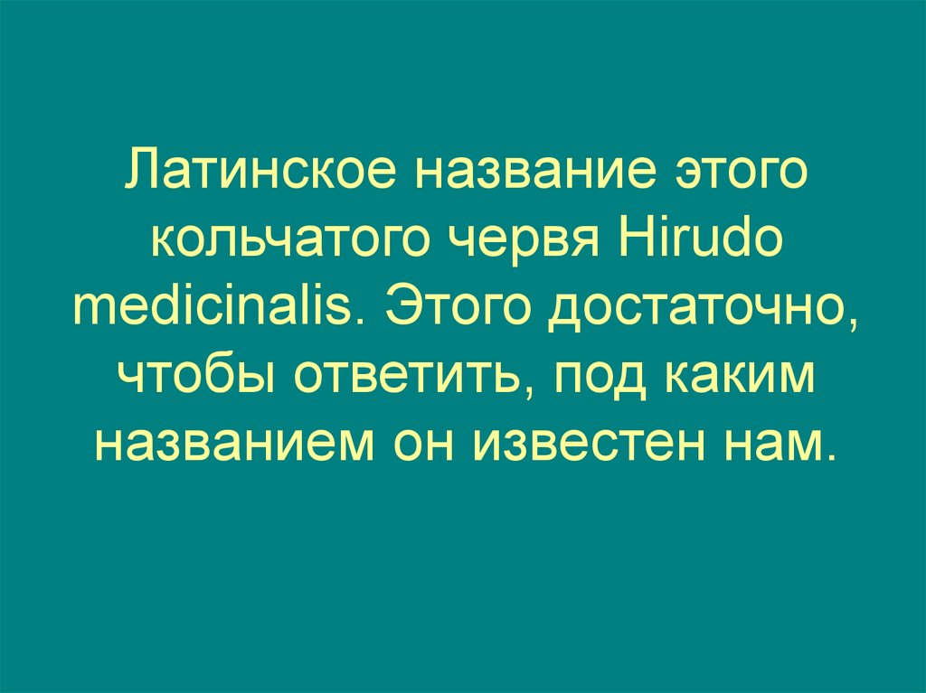 Под каким именем нам больше известен один простой служитель закона под номером 548