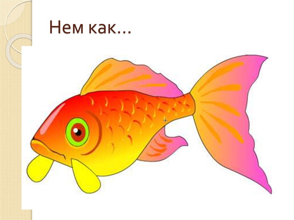 Золотая рыбка младшая группа. Рыбка рисунок. Рыбка картинка для детей. Рыбы для детей дошкольного возраста. Красивые рыбки для детей.