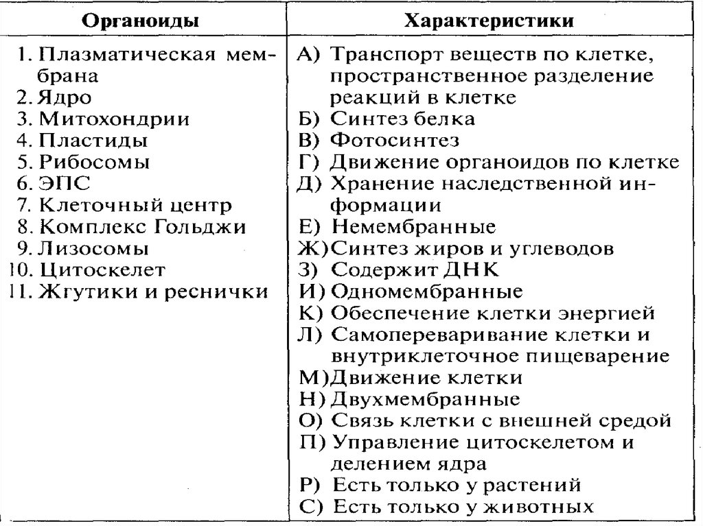 Темы по проекту по биологии 10 класс