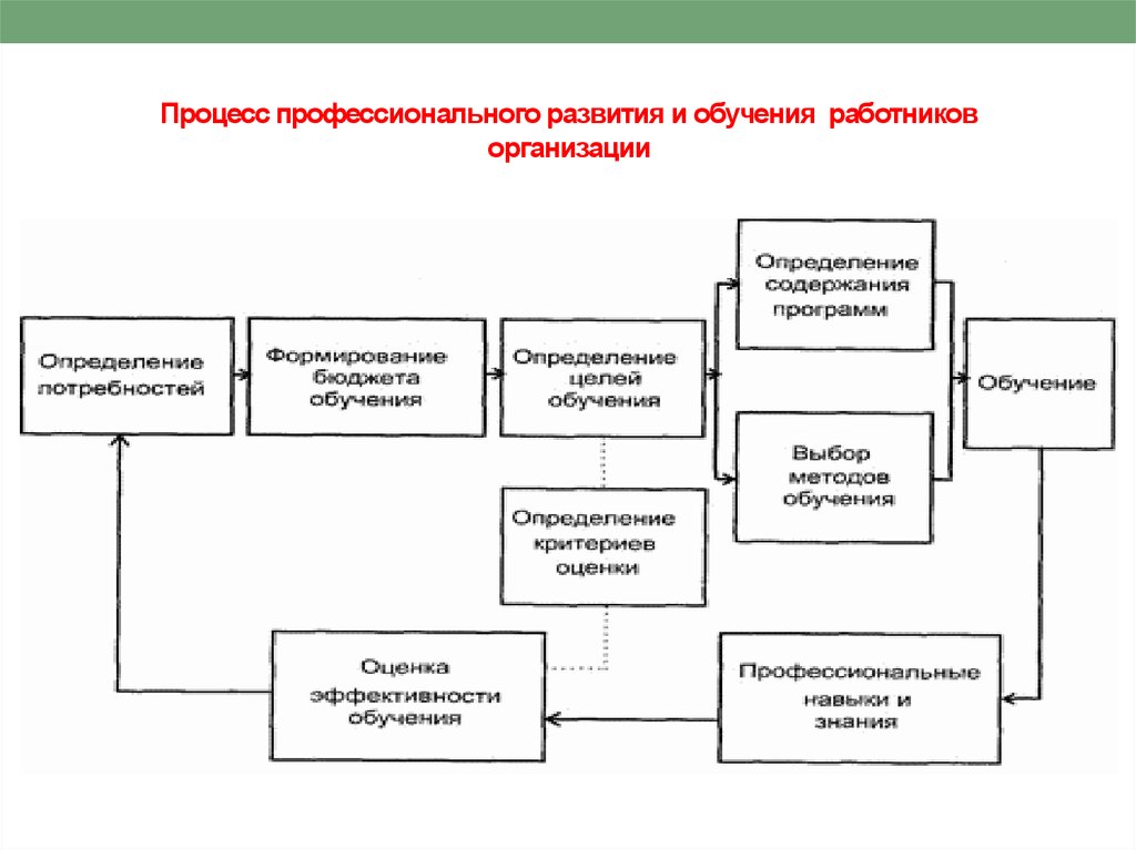 Процесс подготовки кадров. Процесса профессионального развития. Организация процесса обучения персонала. Этапы процесса профессионального обучения. Профессиональное обучение и развитие персонала.