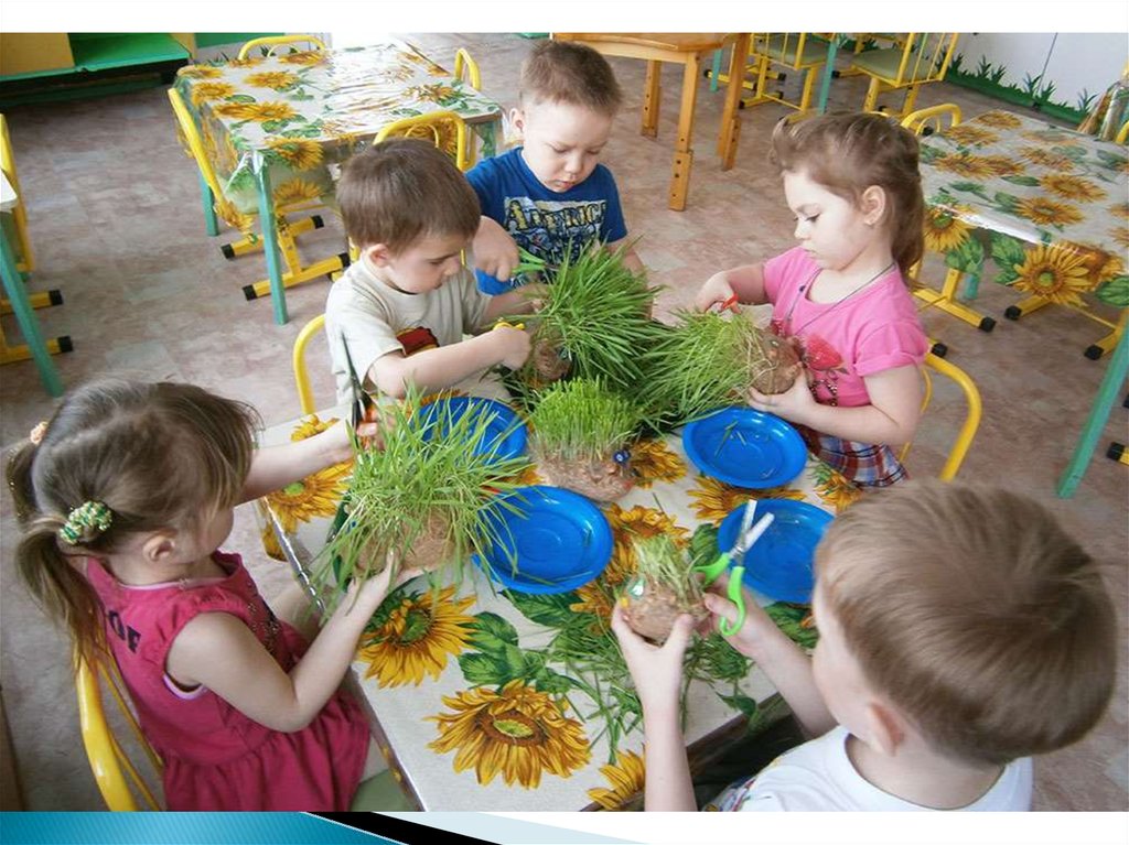 Мероприятие в дошкольной группе. Занятие по экологии в детском саду. Экологические занятия с детьми. Занятие по экологии в ДОУ. Экологическое воспитание в садике.