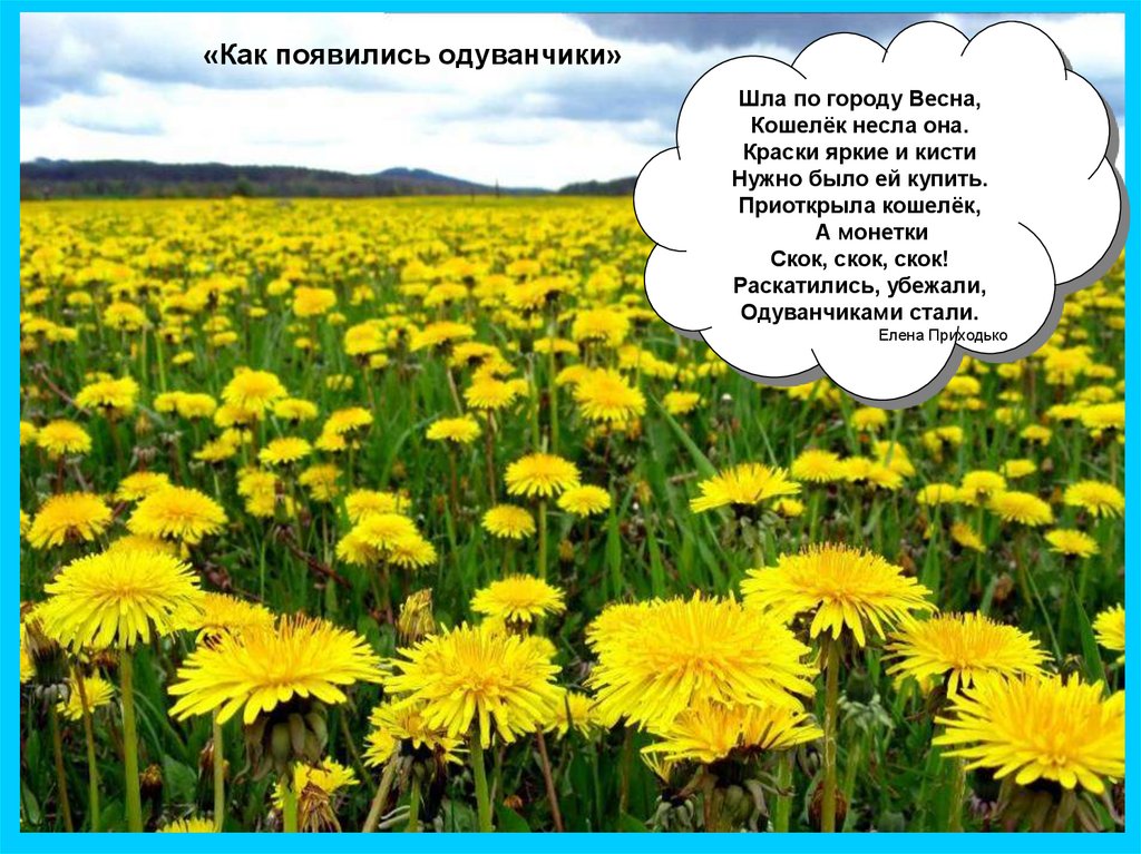 Как пишется слово одуванчик. Одуванчик для детей. Стихотворение про одуванчик. Стихотворение про одуванчик для детей. Желтый одуванчик стихи для детей.