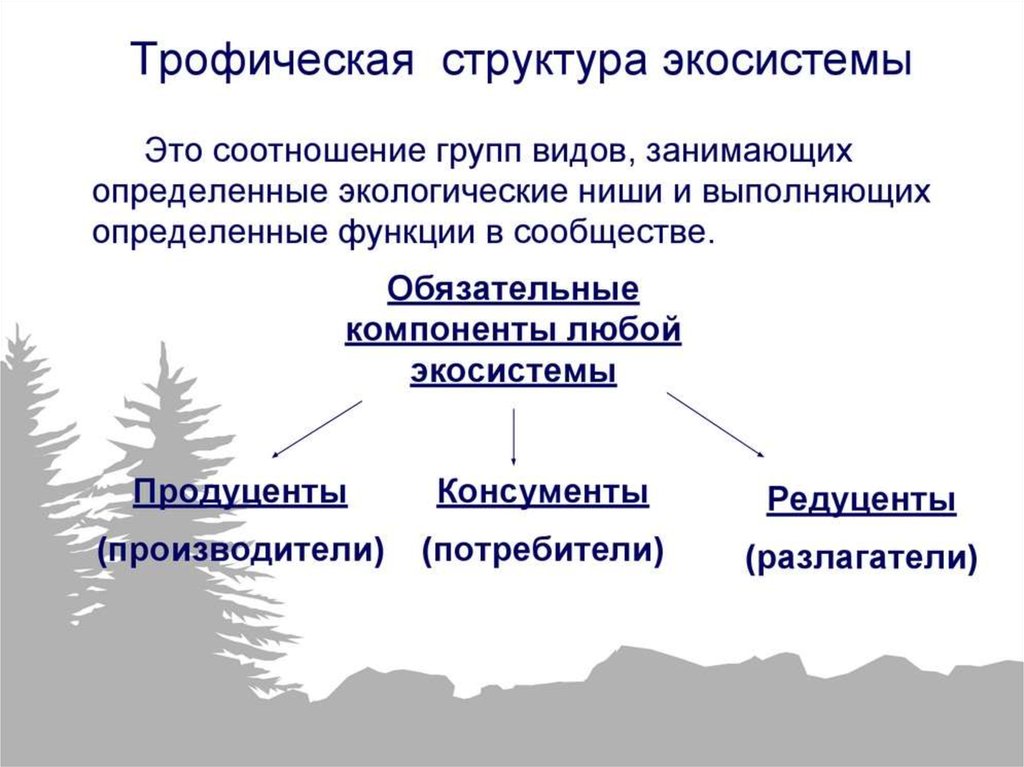 Из каких компонентов состоит экосистема. Структура экосистемы трофическая структура. Трофическая структура, компоненты экосистемы. Биология трофическая структура таблица. Трофическая структура биоценоза.
