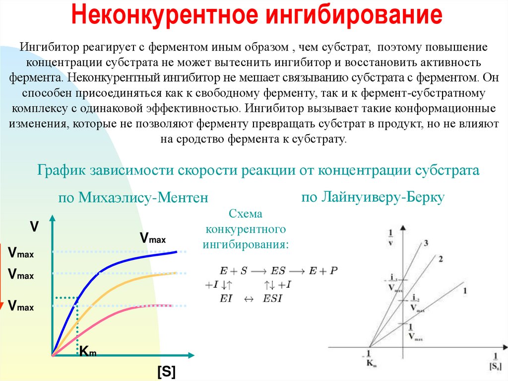 Неконкурентное ингибирование схема