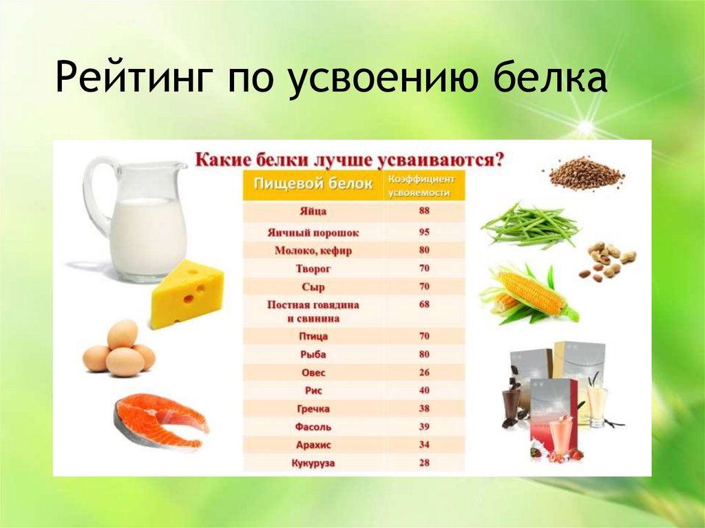 Почему нельзя есть белки с кашами