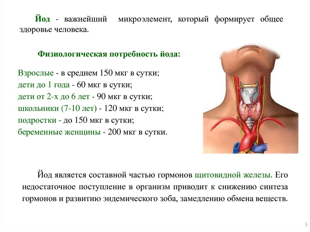 Йод в организме человека