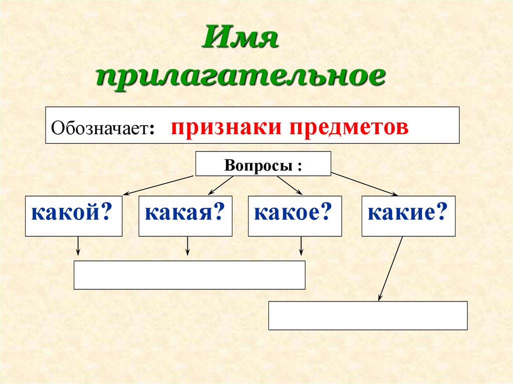 Имя прилагательное презентация