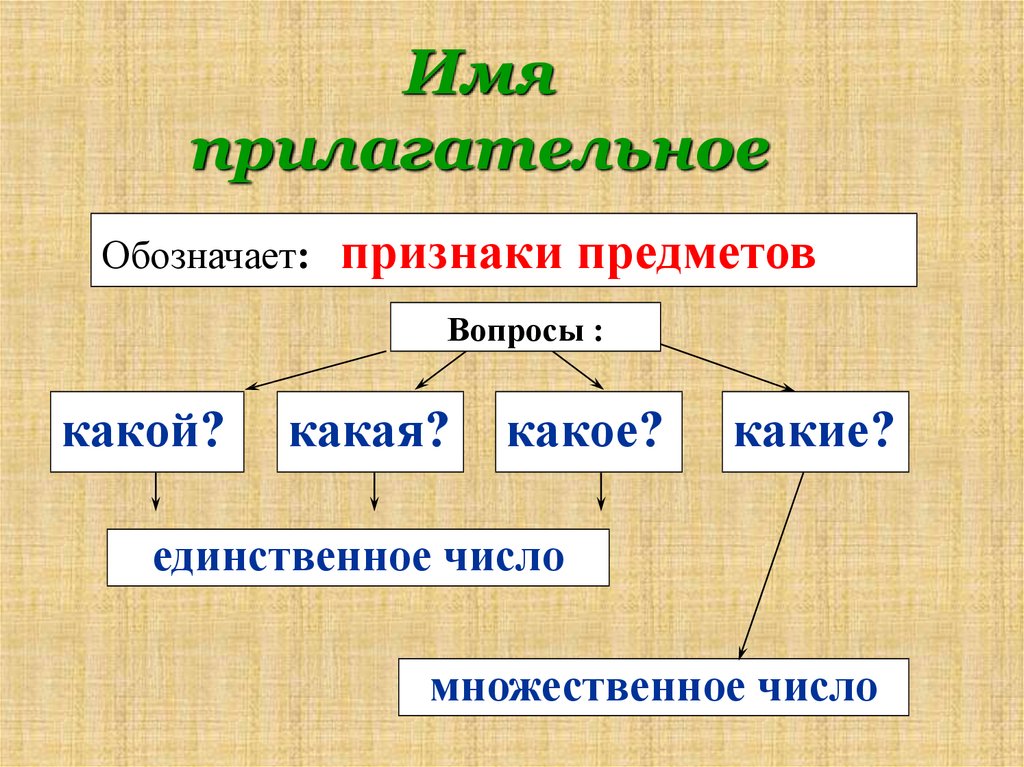 Презентация какая прилагательные